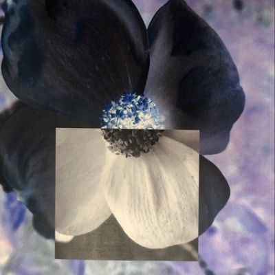 StudentALevelCoursework-020