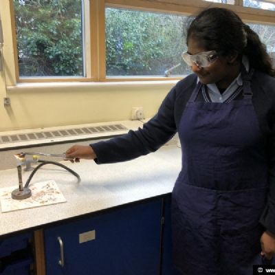 12ScienceTLFeb-March