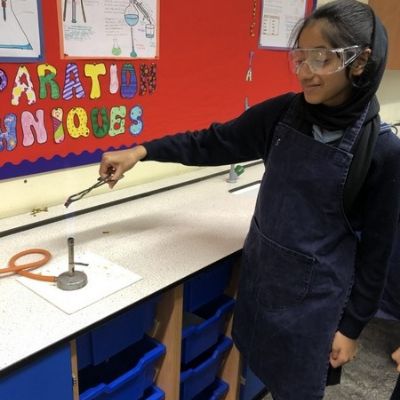 9ScienceTLFeb-March