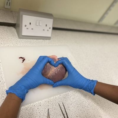 10Science