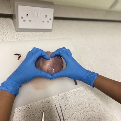 11Science
