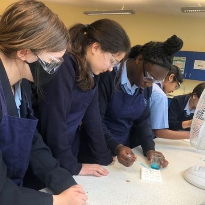31Science