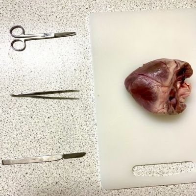 7Science
