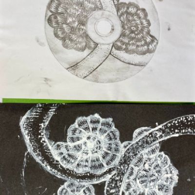IMGE40941)