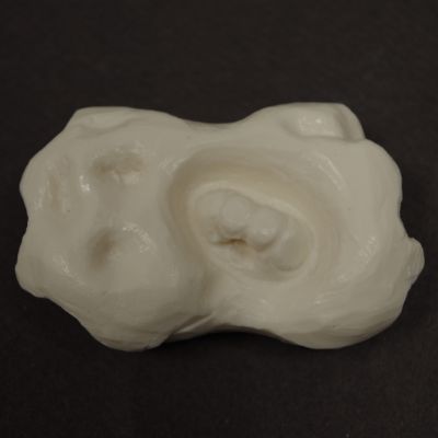 IMGP92251)