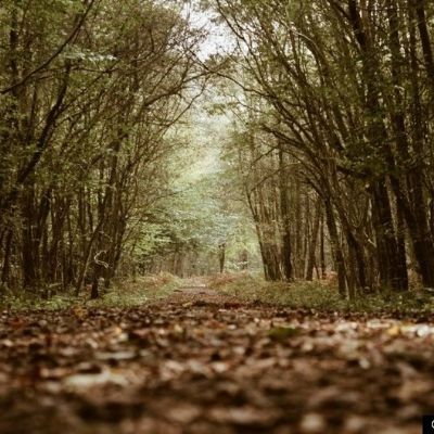 EmilyCNature1)